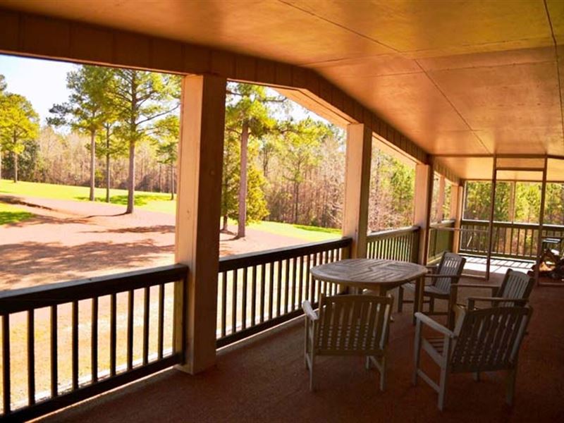 Tomlinson 900 +/- Acres : Dozier : Covington County : Alabama