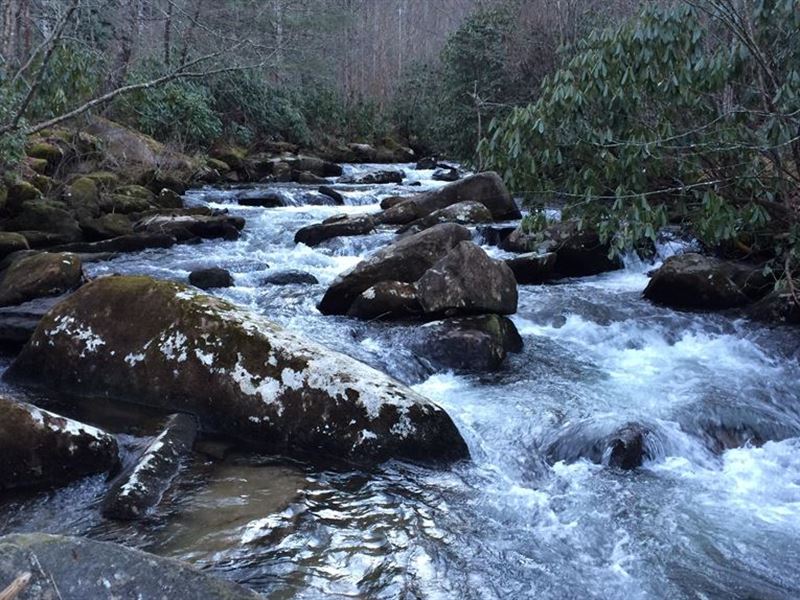 Little Snowbird, Land for Sale in North Carolina, 143625 LANDFLIP