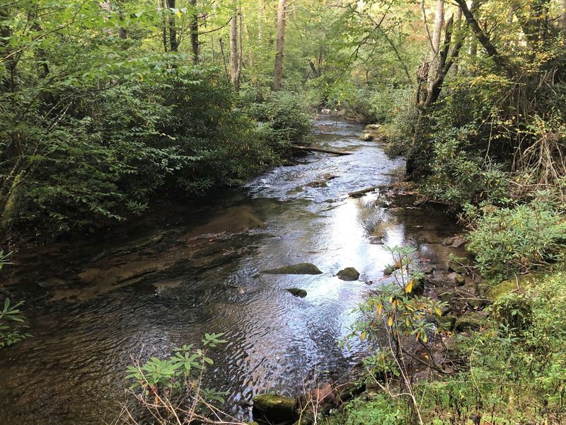 Little Snowbird, 31 Acres : Robbinsville : Graham County : North Carolina