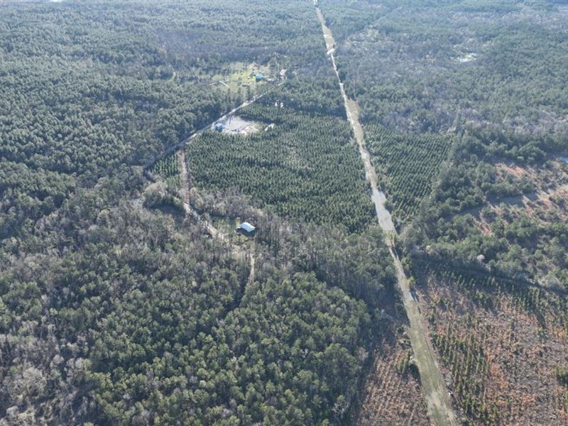 Barnes Creek Tract, Allen Parish, 4 : Reeves : Allen Parish : Louisiana