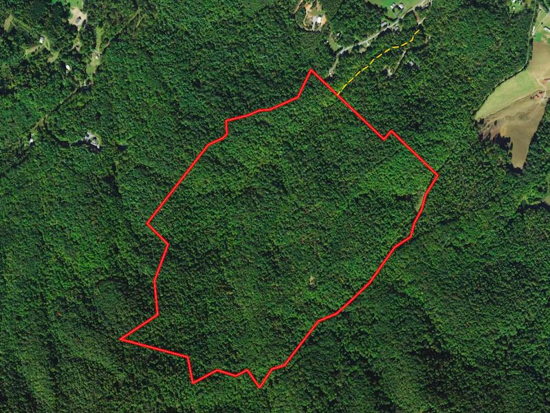 Market Based Price Improvement, 2 : Montvale : Bedford County : Virginia