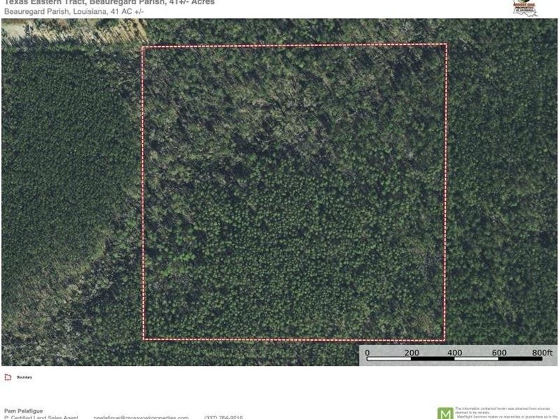 Texas Eastern Tract, Beauregard Par : Ragley : Beauregard Parish : Louisiana