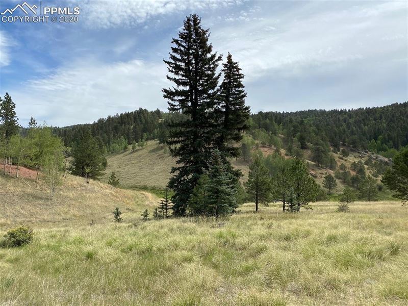 1.23 Acres in Cripple Creek, Colorado : Cripple Creek : Teller County : Colorado