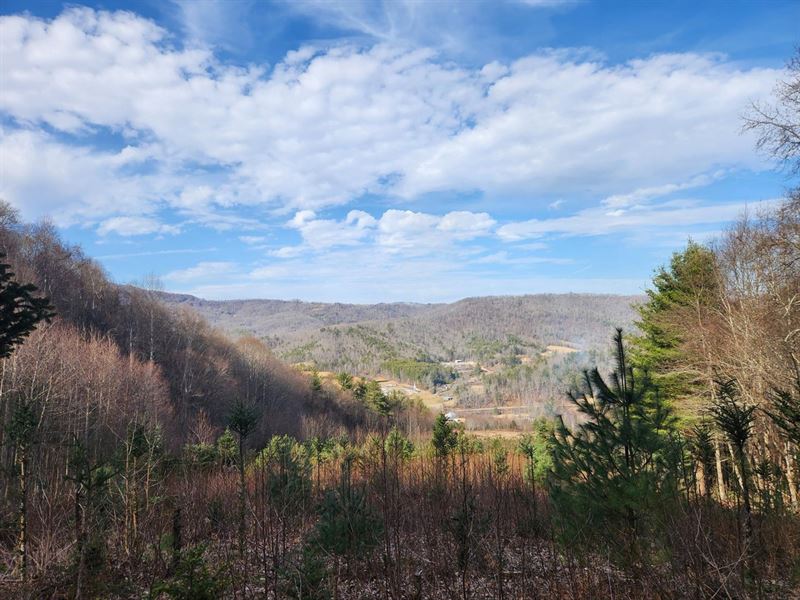 49.61 Acres Off Carpenter Road : Newland : Avery County : North Carolina