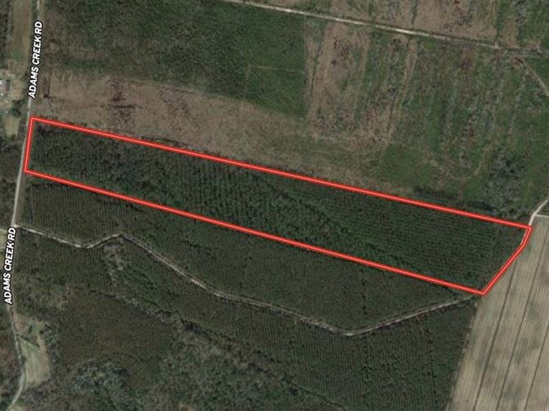 43.12 Ac Hunting : Havelock : Craven County : North Carolina