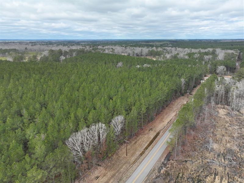 Opossum Point Timber Tract, Lasalle : Nebo : La Salle Parish : Louisiana