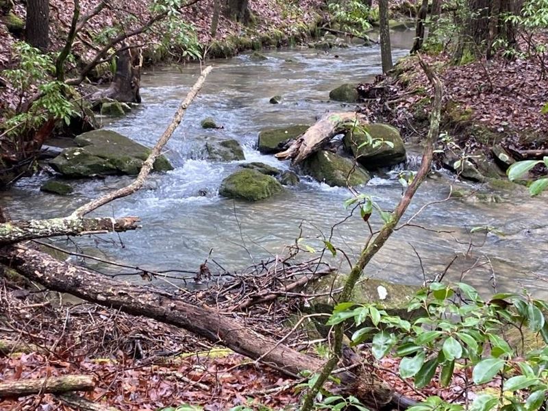 19.45 Acres Wooded with Creek Nea : Crossville : Cumberland County : Tennessee
