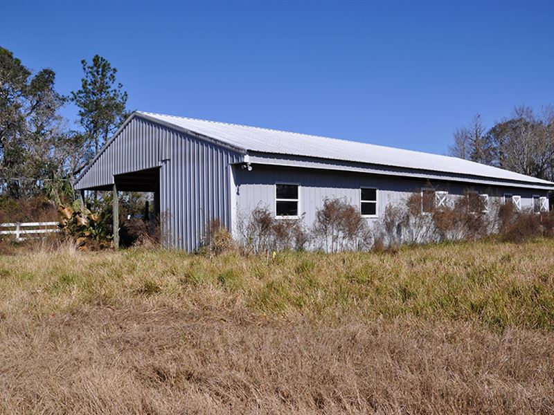 Volusia County Equestrian : Deltona : Volusia County : Florida