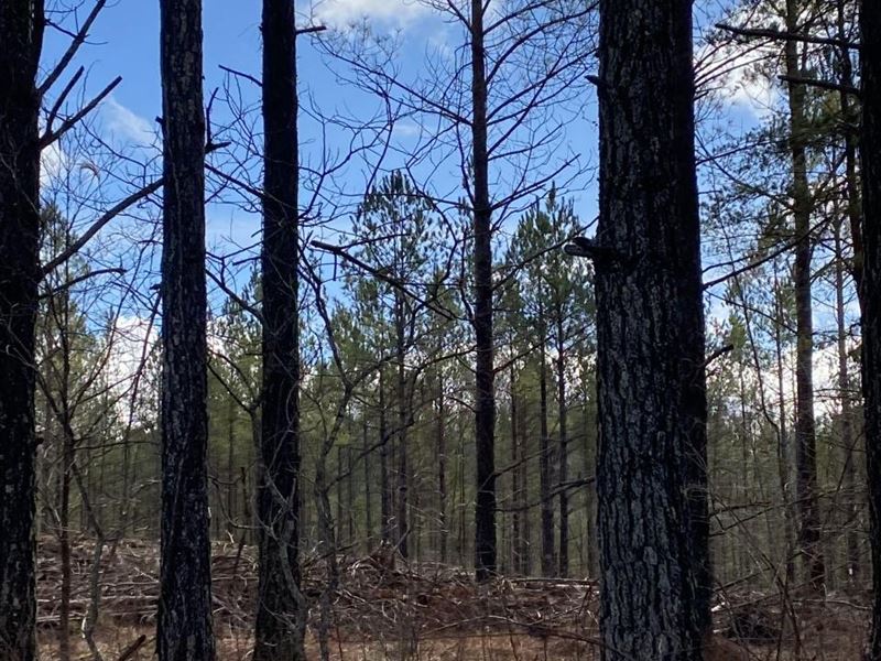 5.19 Acres Near Fall Creek Falls : Crossville : Cumberland County : Tennessee