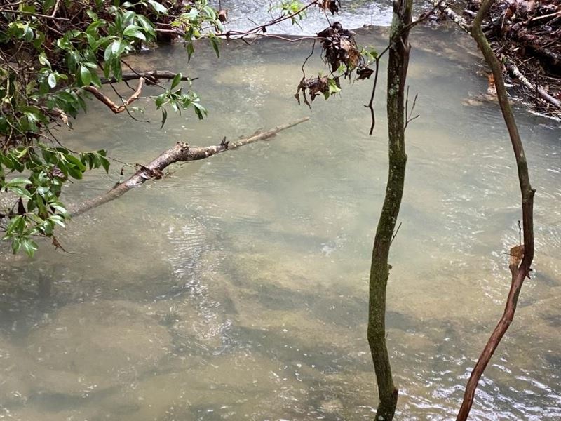 7.26 Acres with a Creek Near Fall : Crossville : Cumberland County : Tennessee