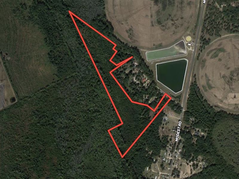 41.39 Acres : Maxton : Robeson County : North Carolina