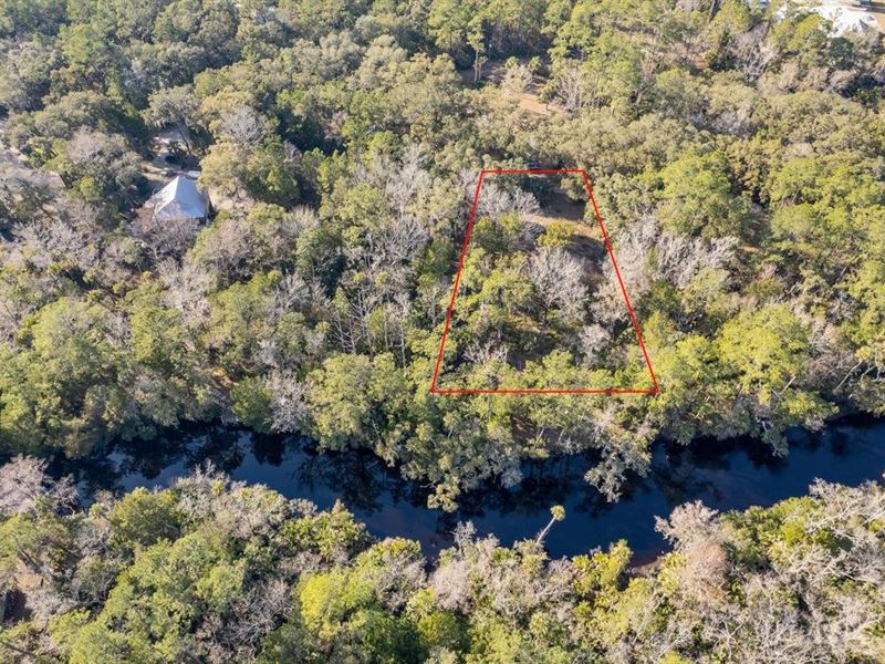 0.45 Acre in Lamont, Florida : Lamont : Taylor County : Florida