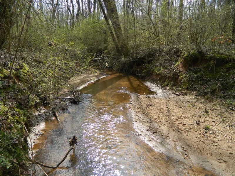 Great Hunting Property with Creek : Danielsville : Madison County : Georgia