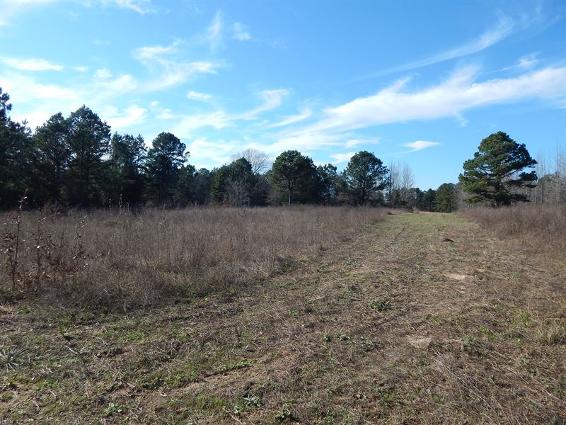 Recreational Investment Land : Diana : Upshur County : Texas