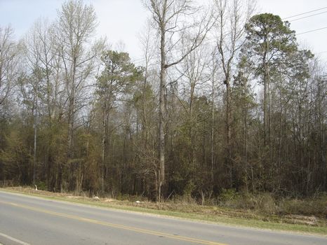 106 Wooded Acres : Deepstep : Washington County : Georgia