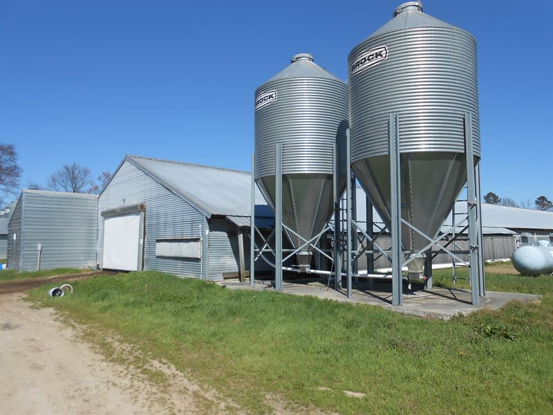 Poultry Farm for Sale in Nc : Windsor : Bertie County : North Carolina