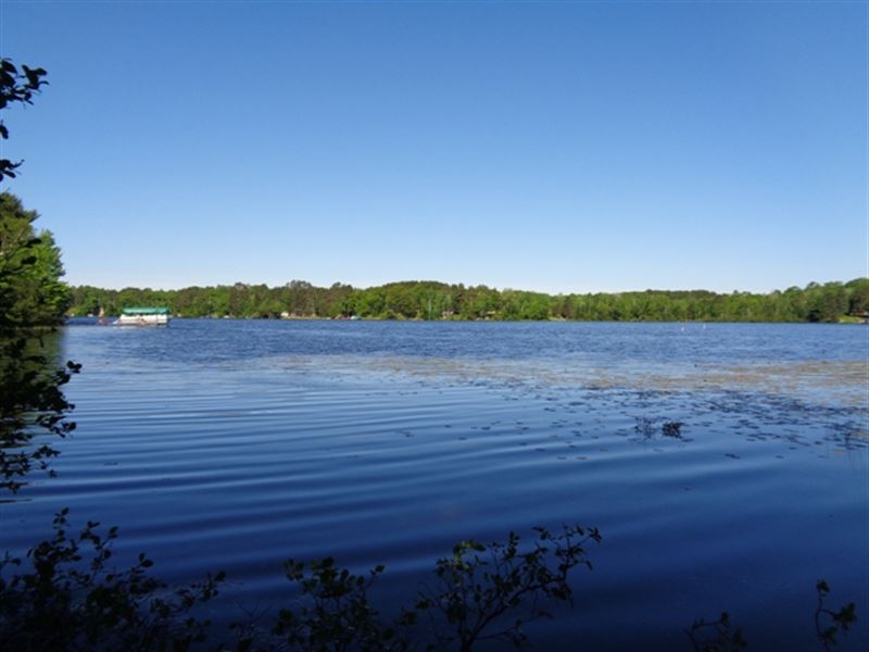 Rustic Land On 255 Acre Oneida Lake : Woodboro : Oneida County : Wisconsin