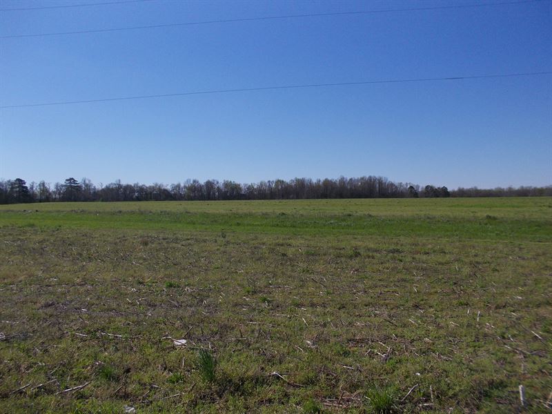 Great Multi-Use Property Elmore Co : Holtville : Elmore County : Alabama