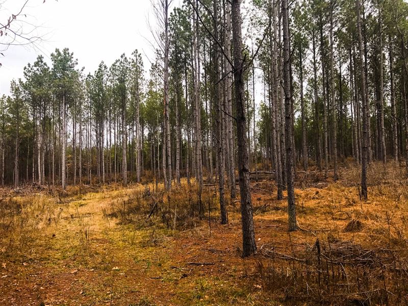 52 Acre Recreational Property : Jonesville : Union County : South Carolina