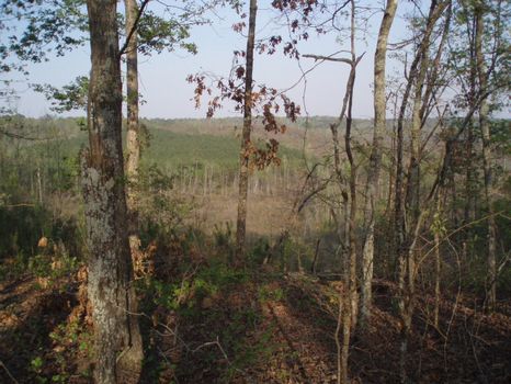 17.93 Acres Home Site : Gordon : Wilkinson County : Georgia