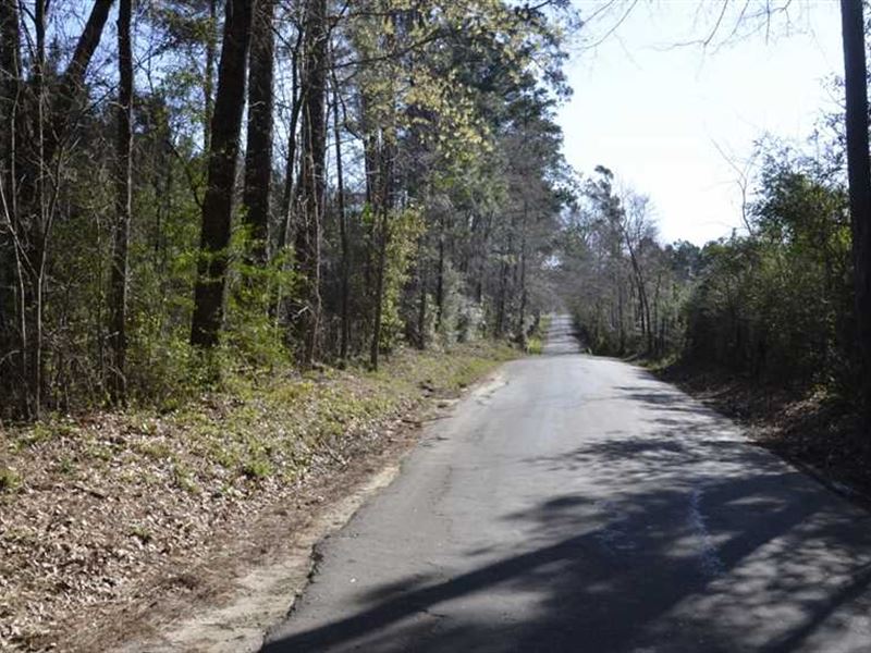 27 Acre Tract with Utilities Avail : Lufkin : Angelina County : Texas