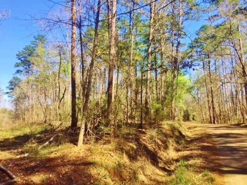 Small Acreage Land No Restrictions : Ruth : Pike County : Mississippi