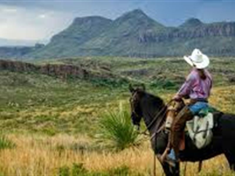 20 Acres, Electric, Amazing Views : Sierra Blanca : Hudspeth County : Texas