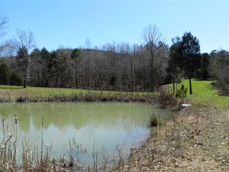 Secluded 249 Acres on Buddy Durham : Cherokee : Colbert County : Alabama