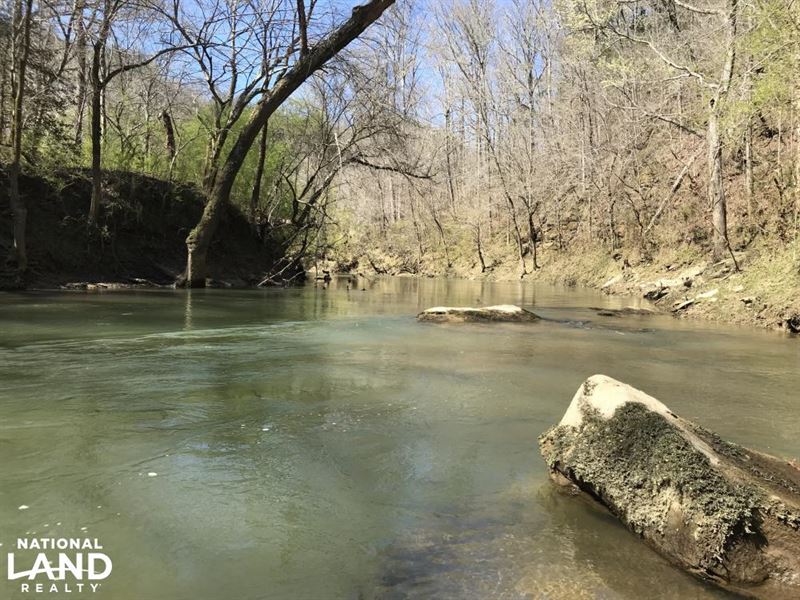 Lost Creek Hunting and Recreational : Parrish : Walker County : Alabama