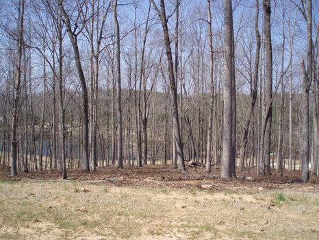 1 Acre Golf Course Lot : Alpharetta : Cherokee County : Georgia