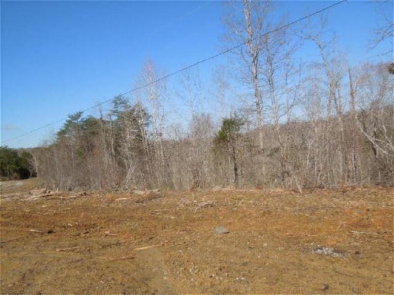 10.03 Acres Located in Rural Area : Burkesville : Cumberland County : Kentucky