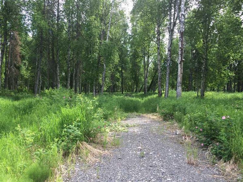 Creek Access, Private Community : Willow : Matanuska-Susitna Borough : Alaska