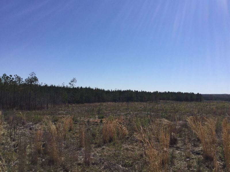 Stillwell Tract2 : Salem : Lee County : Alabama
