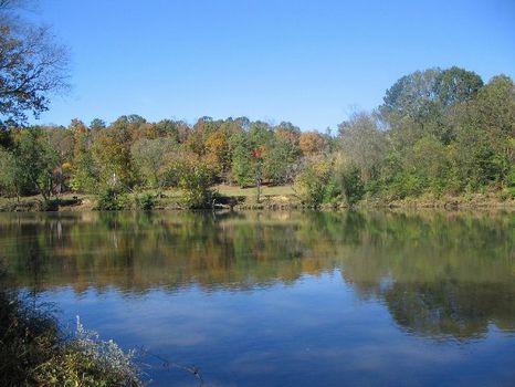 Acreage on the Tallapoosa River : Dadeville : Tallapoosa County : Alabama