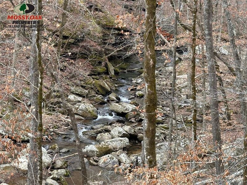 273.92 Acres on Sugar Camp Creek : Prim : Cleburne County : Arkansas