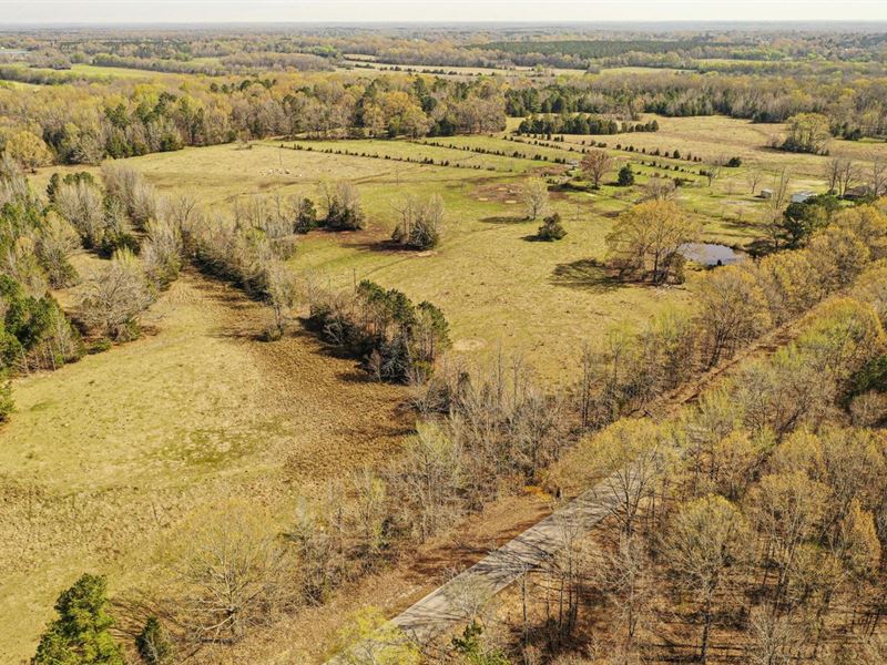Clay Cedar Bluff 64.41 Acres : Cedar Bluff : Clay County : Mississippi