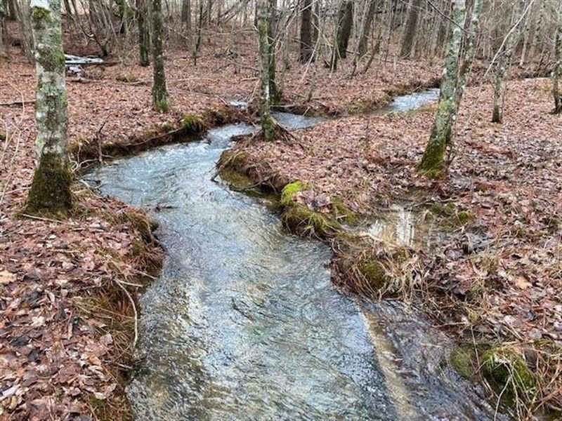 5.12 Acres Unrestricted Wooded Pr : Dunlap : Sequatchie County : Tennessee