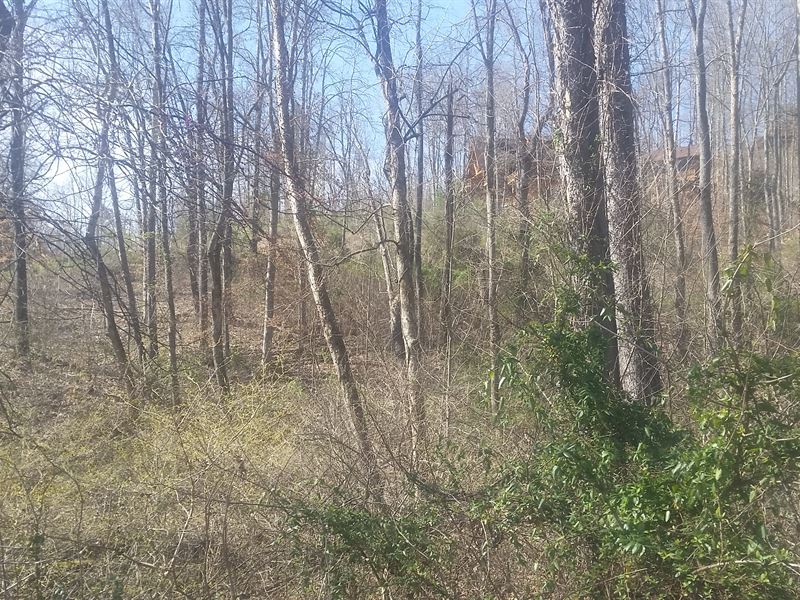 1.81 Acre Lot, Norris Lake Access : New Tazewell : Claiborne County : Tennessee