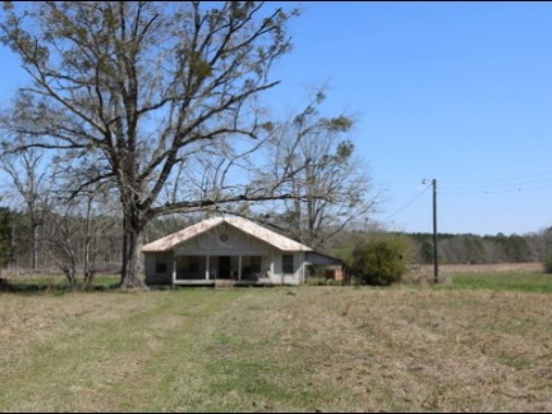 41 Acres in Leake County : Lena : Leake County : Mississippi
