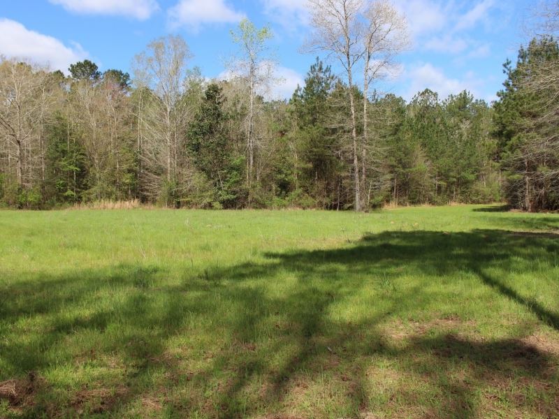 70 Acres Of Excellent Hunting in Pe : Poplarville : Pearl River County : Mississippi