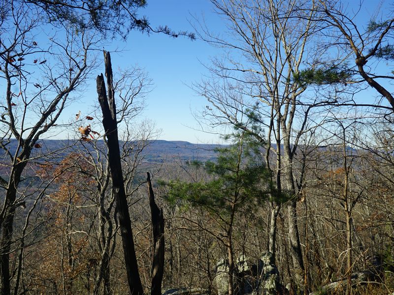 Lookout Mountain Western Bluff Land for Sale in Menlo, Dade County