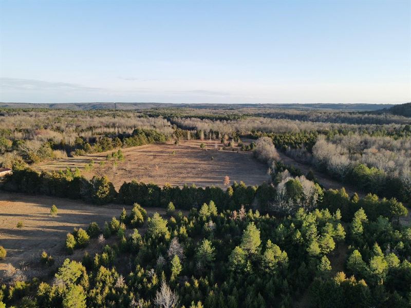 49 Acre Farm in Rosebud/Sidon : Sidon : White County : Arkansas