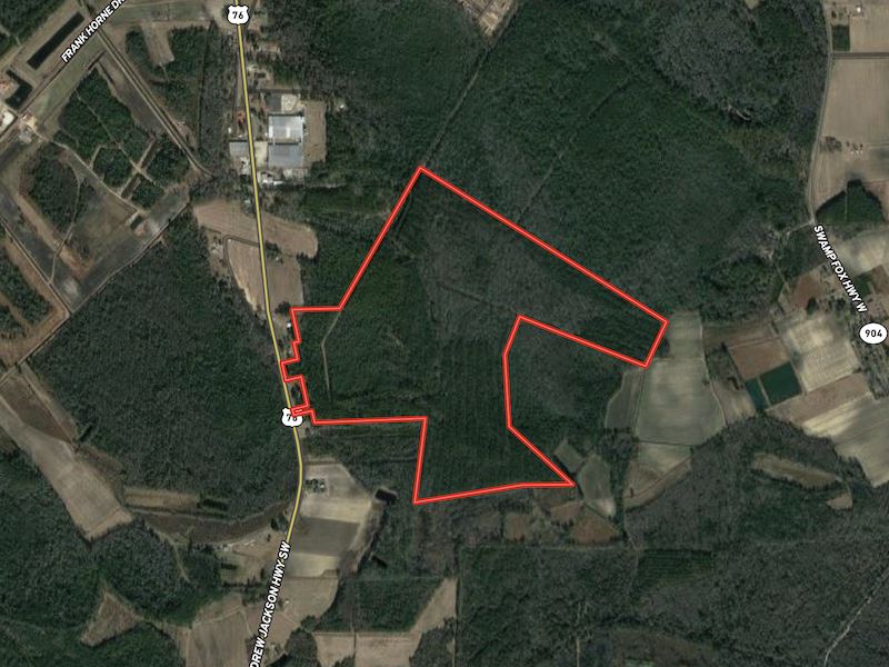 182 Acres Hunting and Timberland Fo : Fair Bluff : Columbus County : North Carolina
