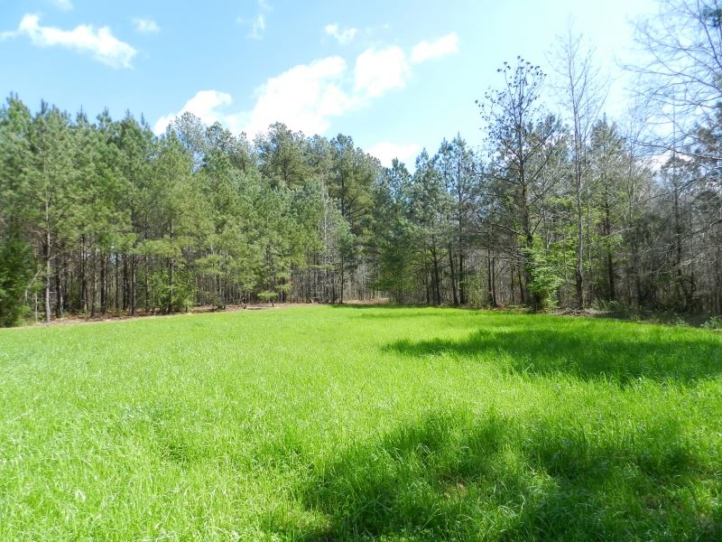 Land Investment Reduced $600/Ac : Greenville : Meriwether County : Georgia