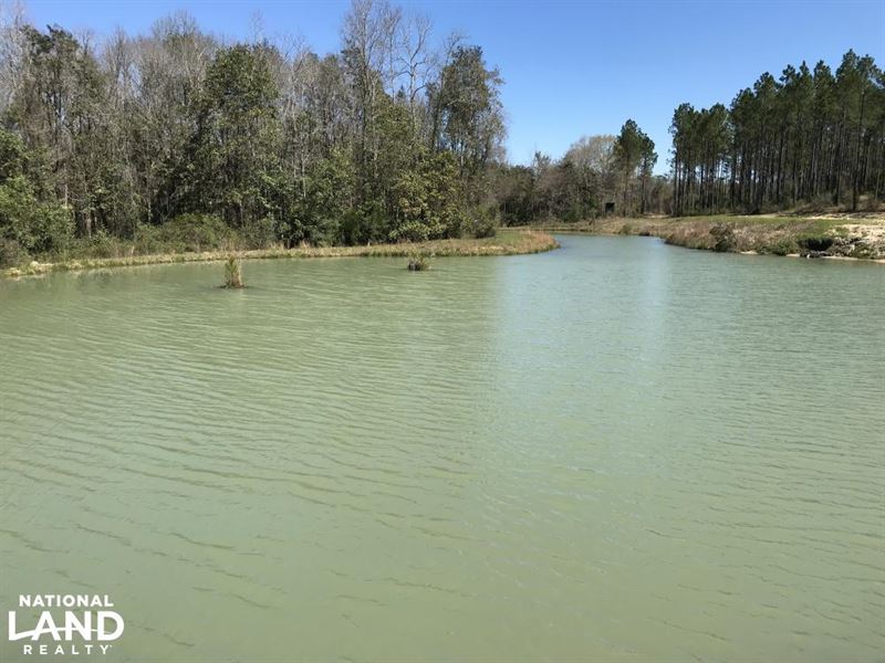 The Phillipsville Dyas Creek Retrea : Bay Minette : Baldwin County : Alabama