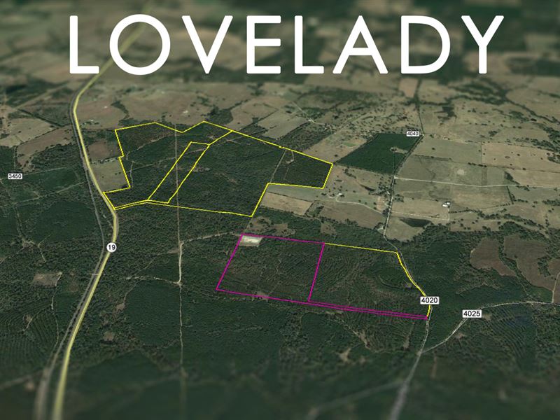 62.5 Acres Cr 4020 Lovelady Land for Sale in Lovelady, Houston