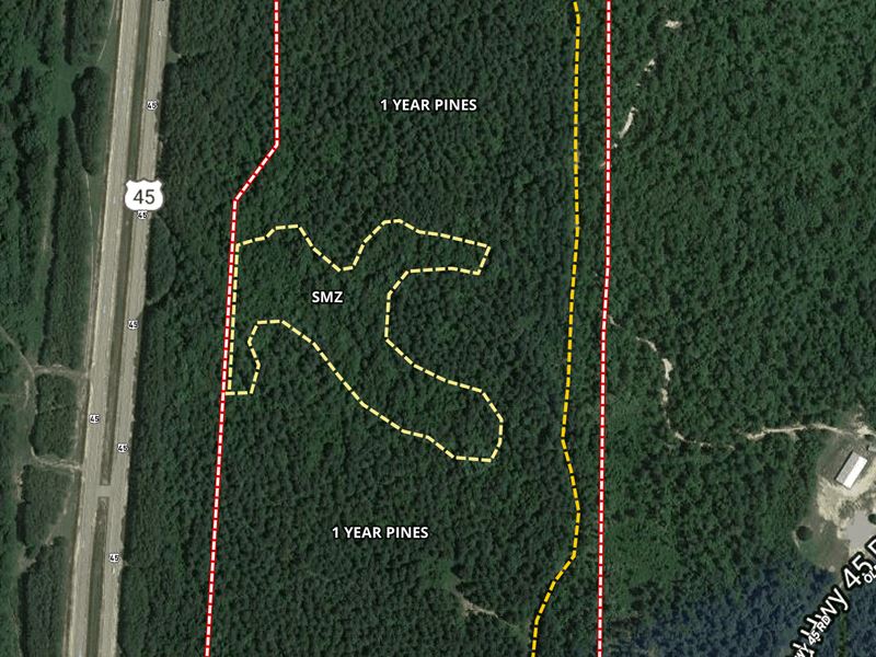 Albert 66 Kemper County MS Land for Sale in Porterville, Kemper