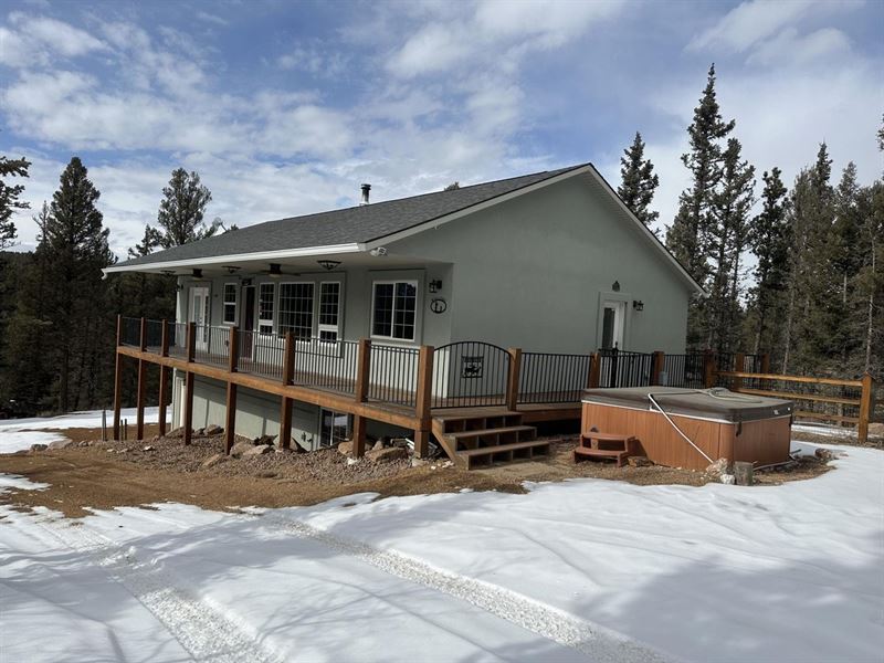 Gold Dust Creek : Florissant : Teller County : Colorado
