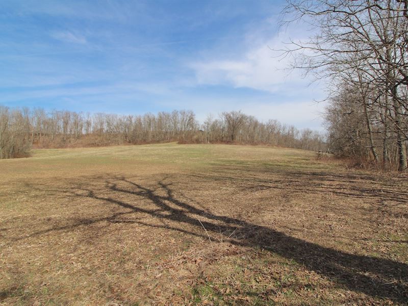 Ogilbee Rd - 25 Acres : Mead : Belmont County : Ohio