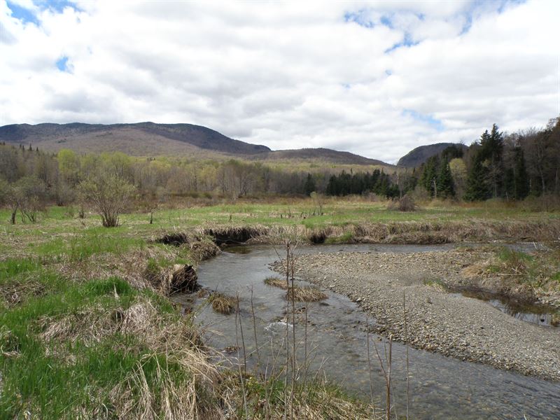 Haystack Mountain Forest : Lowell : Orleans County : Vermont